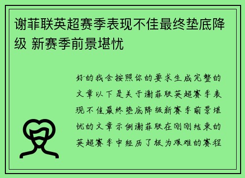 谢菲联英超赛季表现不佳最终垫底降级 新赛季前景堪忧