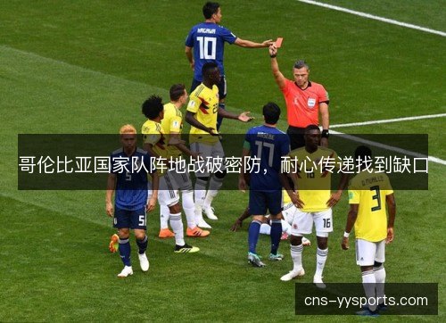 哥伦比亚国家队阵地战破密防，耐心传递找到缺口